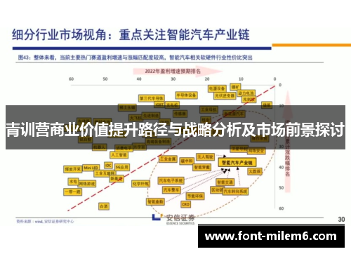 青训营商业价值提升路径与战略分析及市场前景探讨