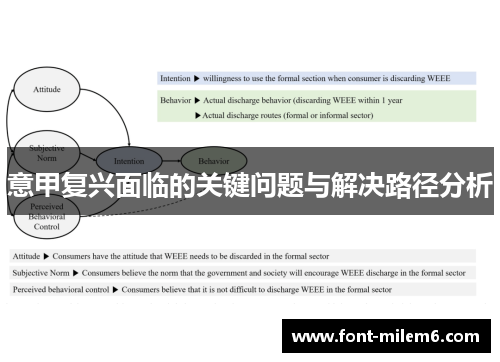 意甲复兴面临的关键问题与解决路径分析