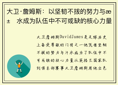 大卫·詹姆斯：以坚韧不拔的努力与汗水成为队伍中不可或缺的核心力量