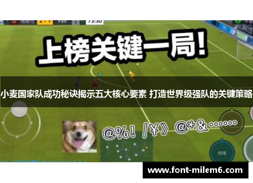 小麦国家队成功秘诀揭示五大核心要素 打造世界级强队的关键策略