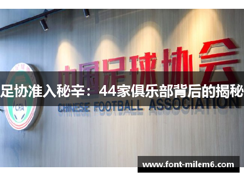 足协准入秘辛:44家俱乐部背后的揭秘 足协准入秘辛:44家俱乐部背后的揭秘